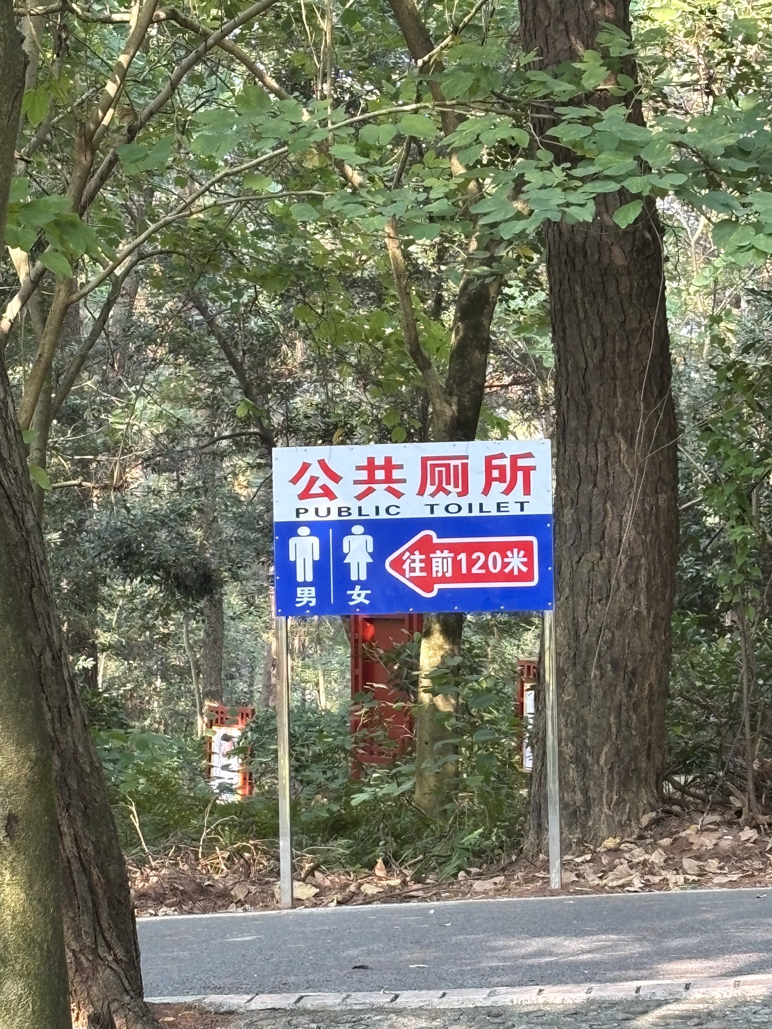 忻城森林公园旅行图片 3