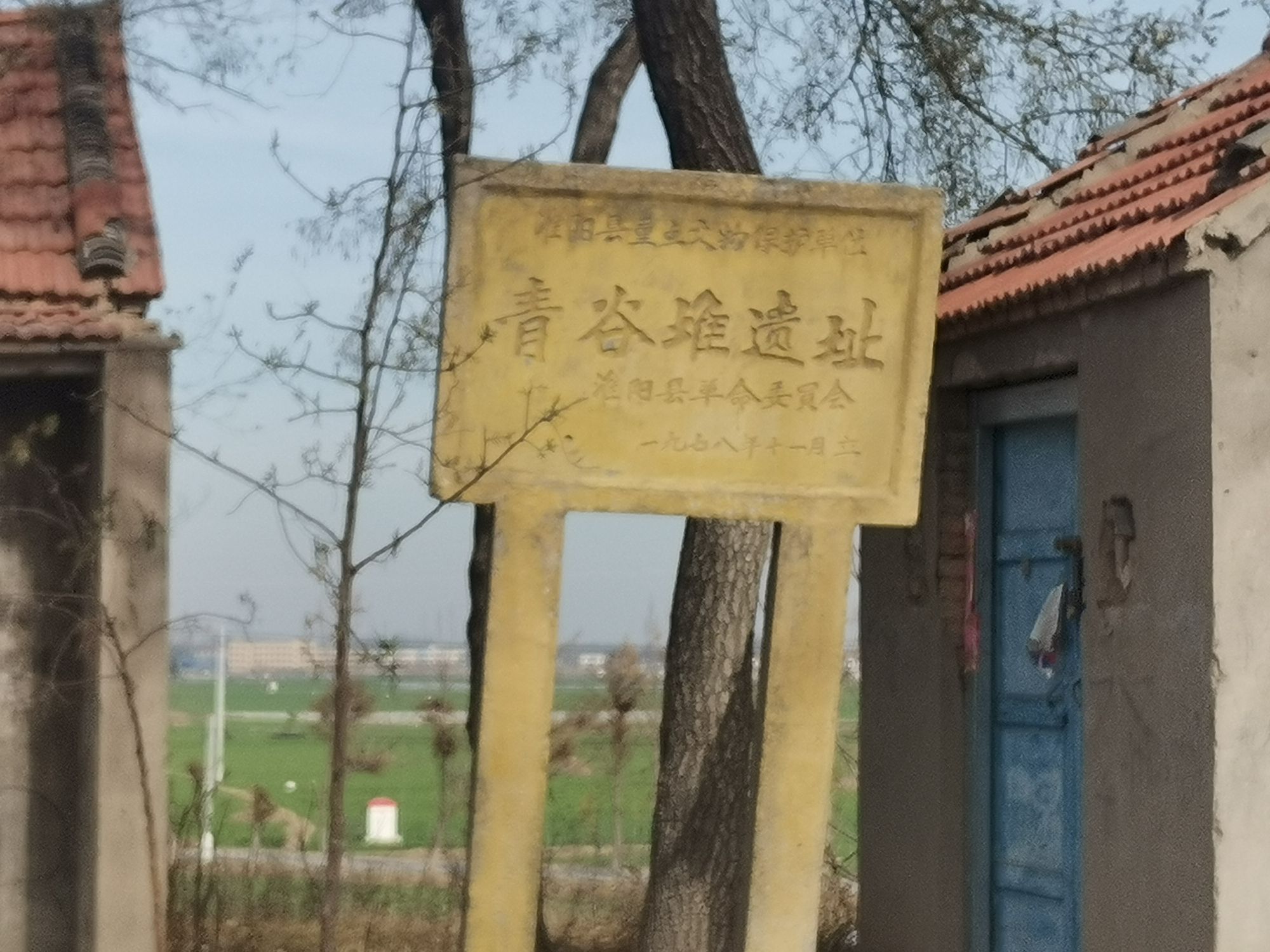 青杨堌堆遗址旅行图片 3