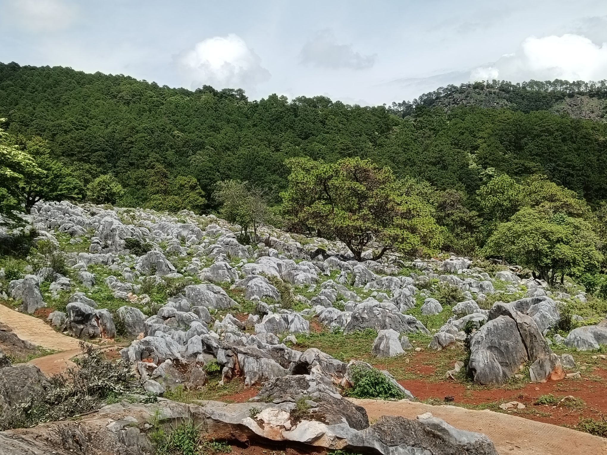 攀枝花大黑山森林公园小石林垭口旅行图片 2