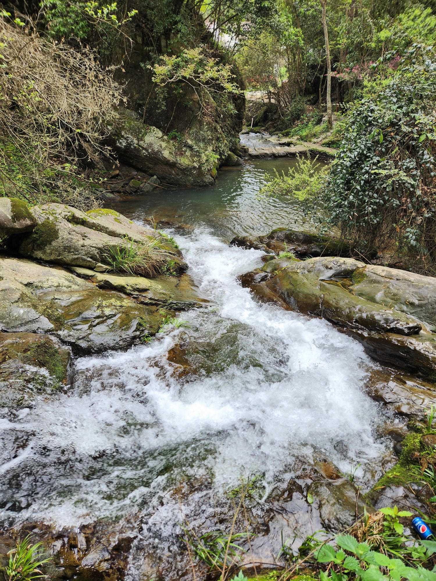 袁溪谷旅行图片 3