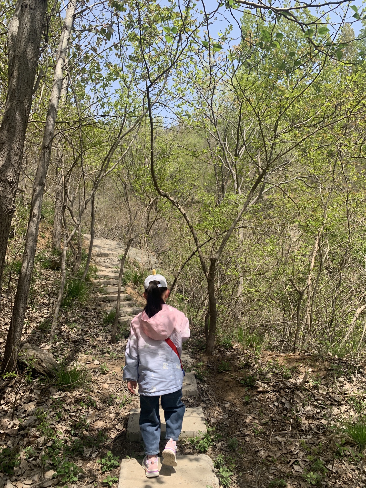 黄龙谷景区旅行图片 2