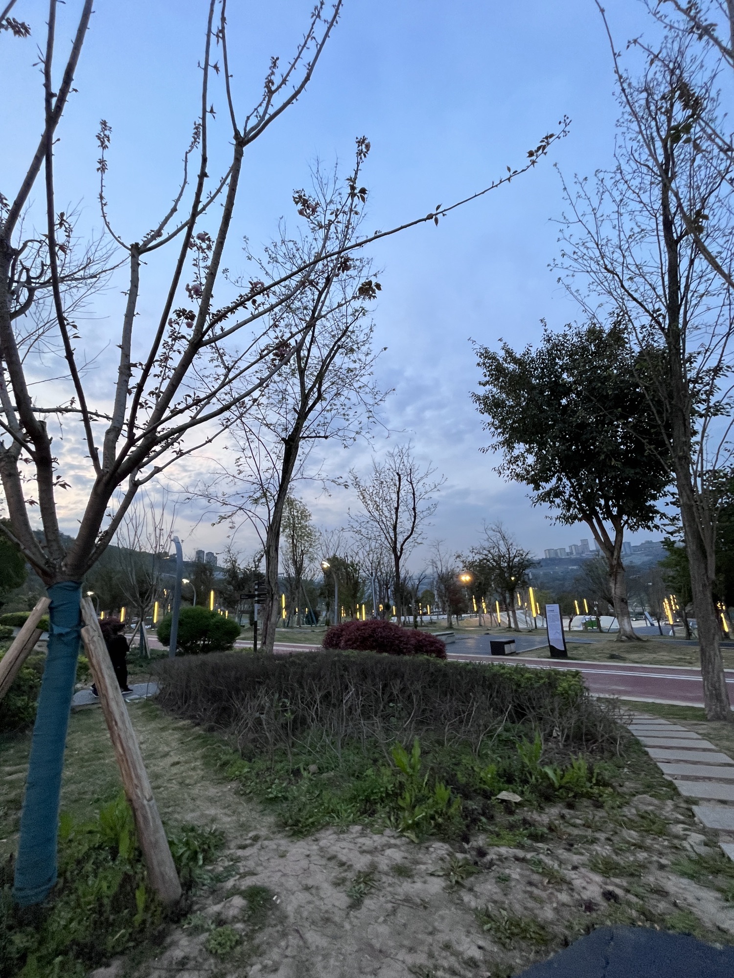 金海湾公园旅行图片 3