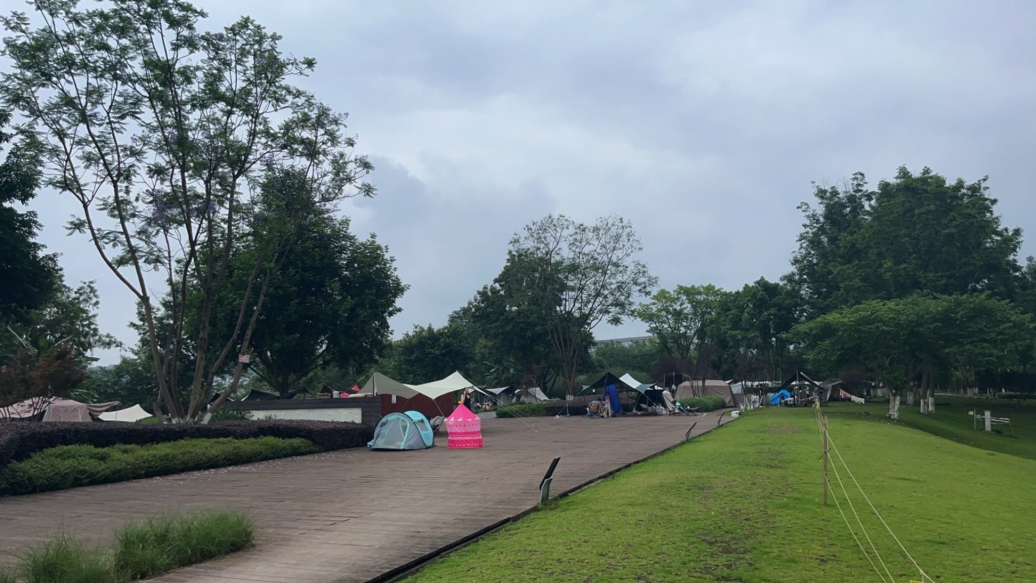 金海湾公园旅行图片 2