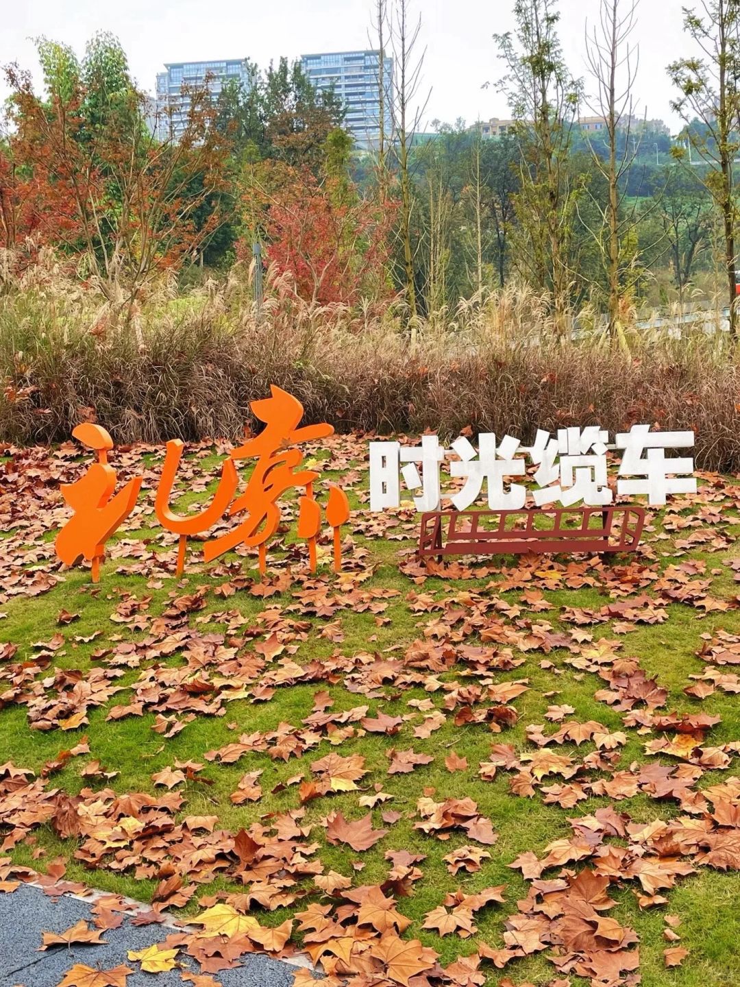 金海湾公园旅行图片 3