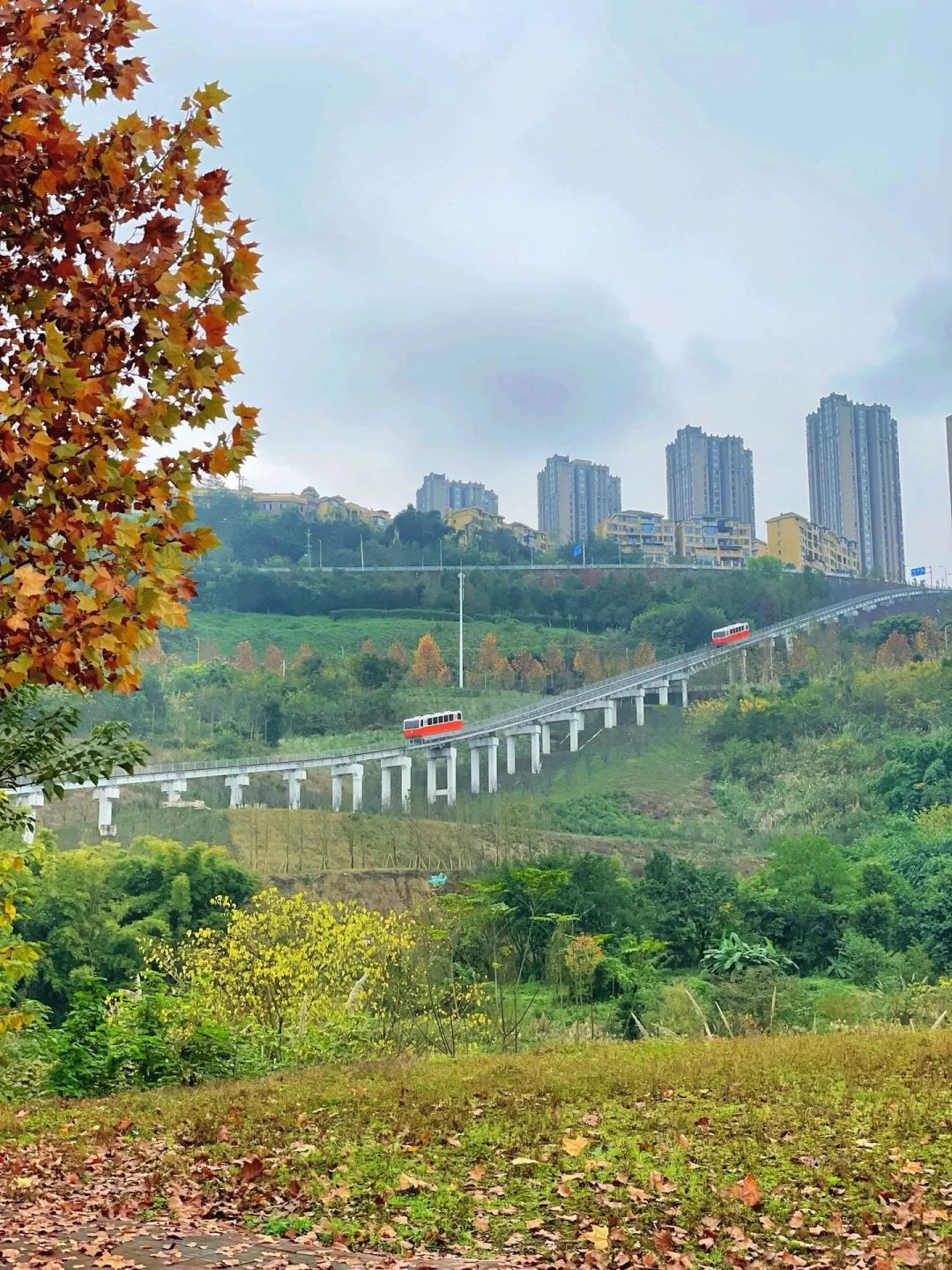 金海湾公园旅行图片 1