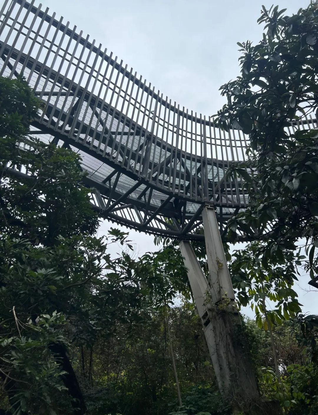 福道旅行图片 3