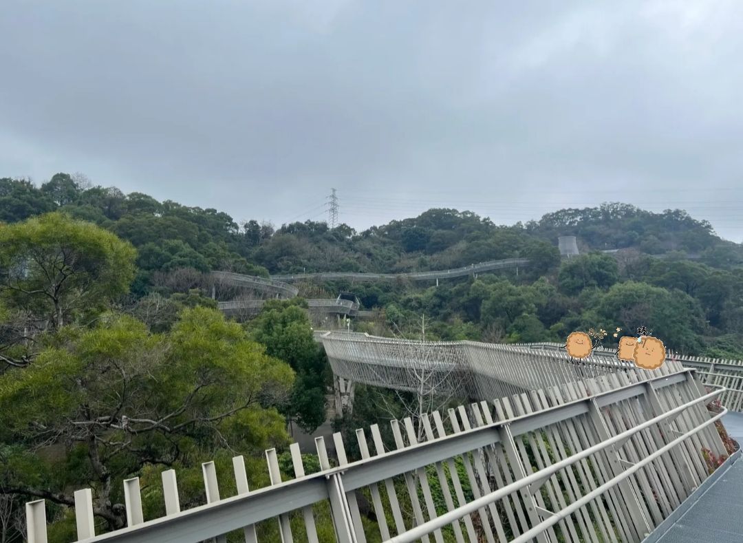 福道旅行图片 1