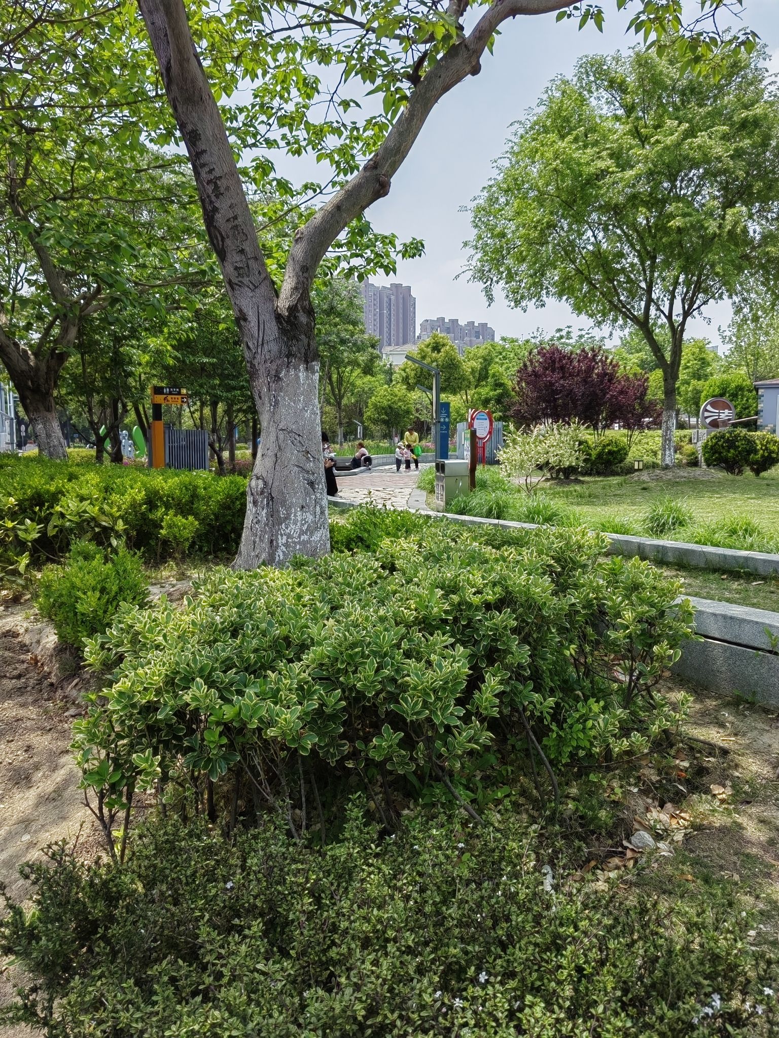 鸡鸣塘公园旅行图片 2