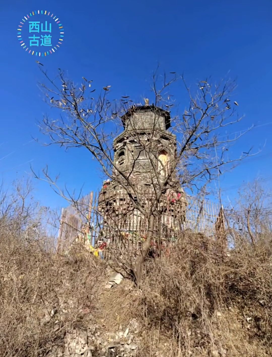 范家坞塔旅行图片 2