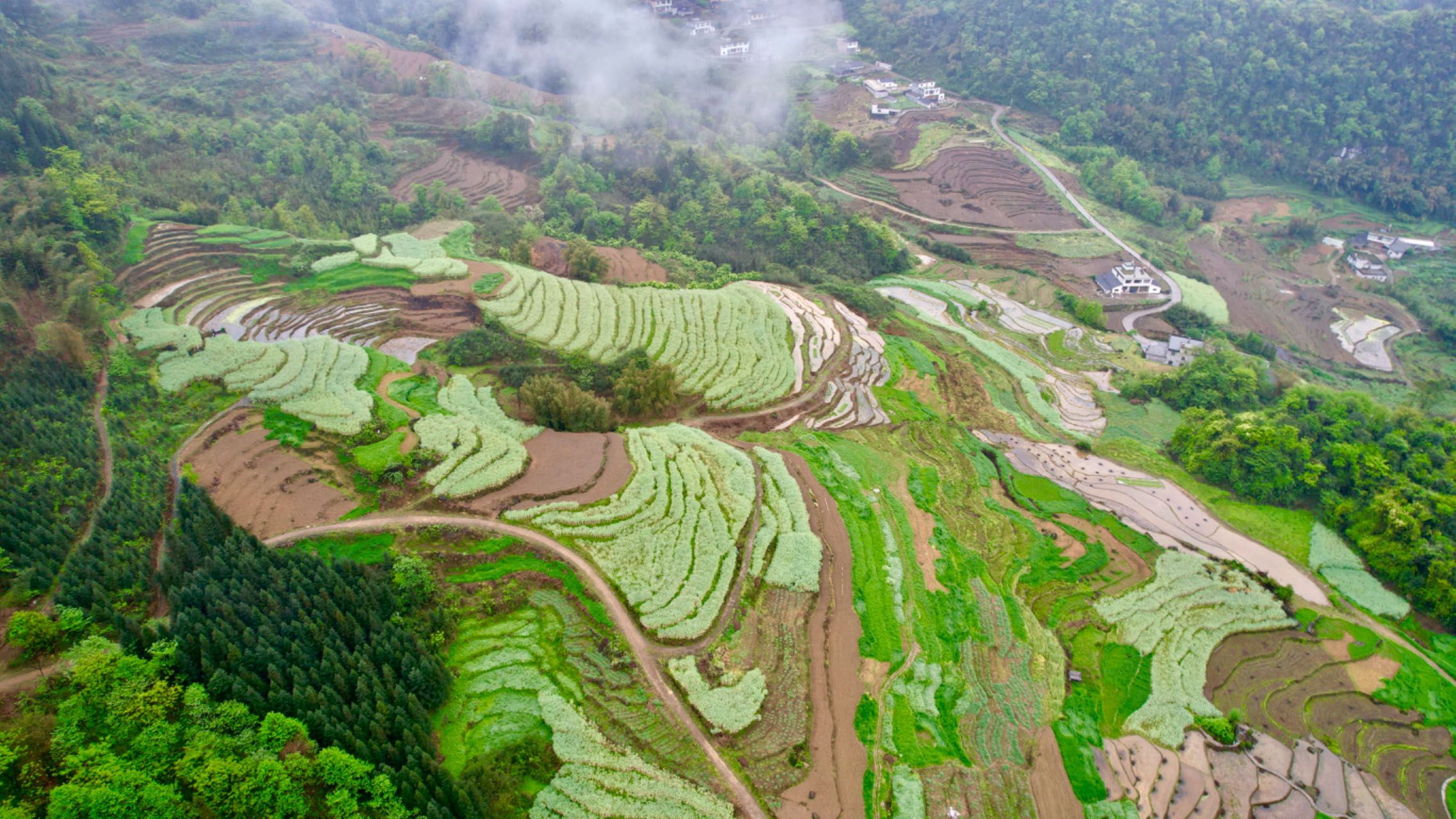高坎梯田旅游景区旅行图片 3