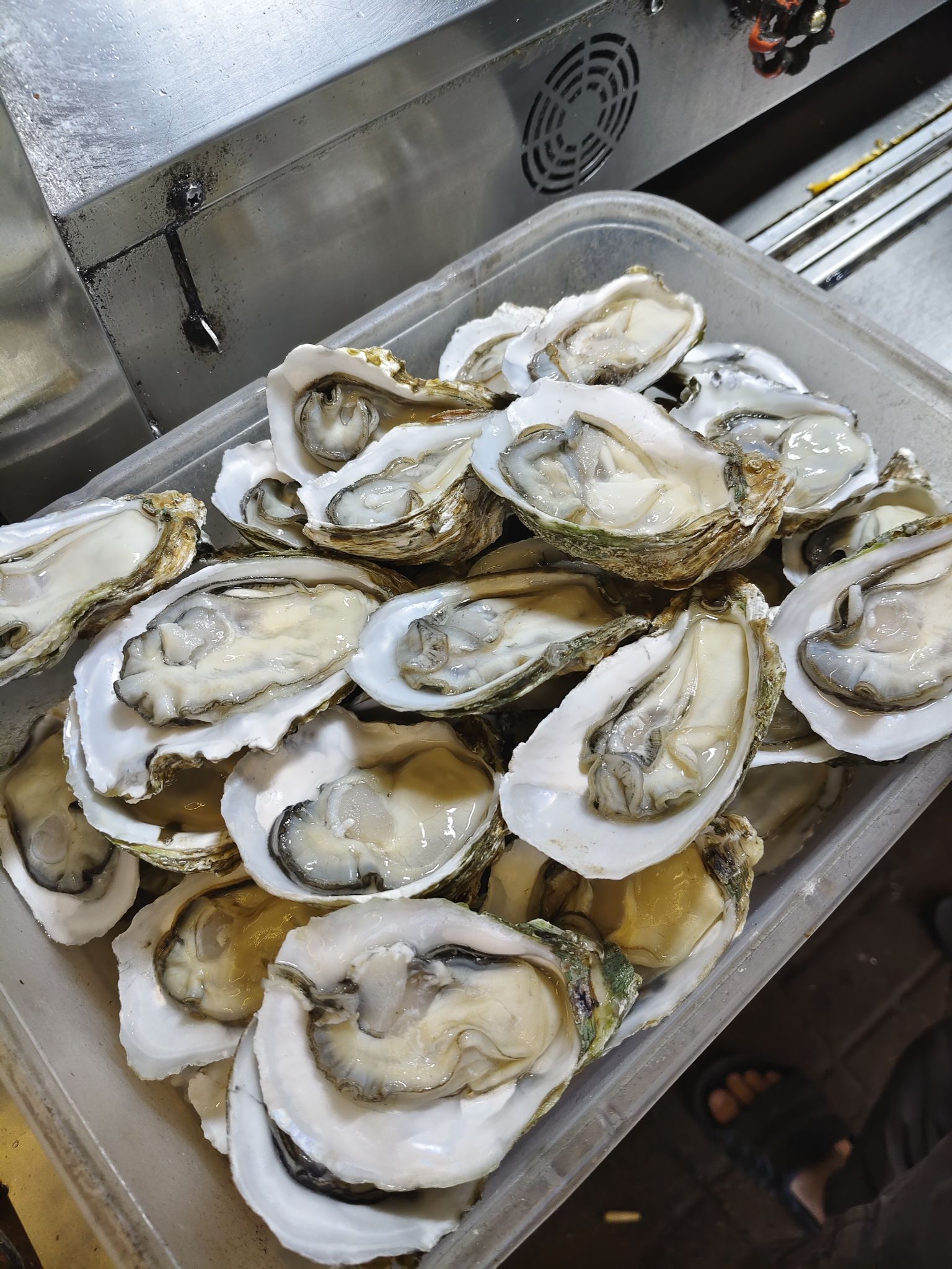 八一湛江生蚝(文明东路总店)