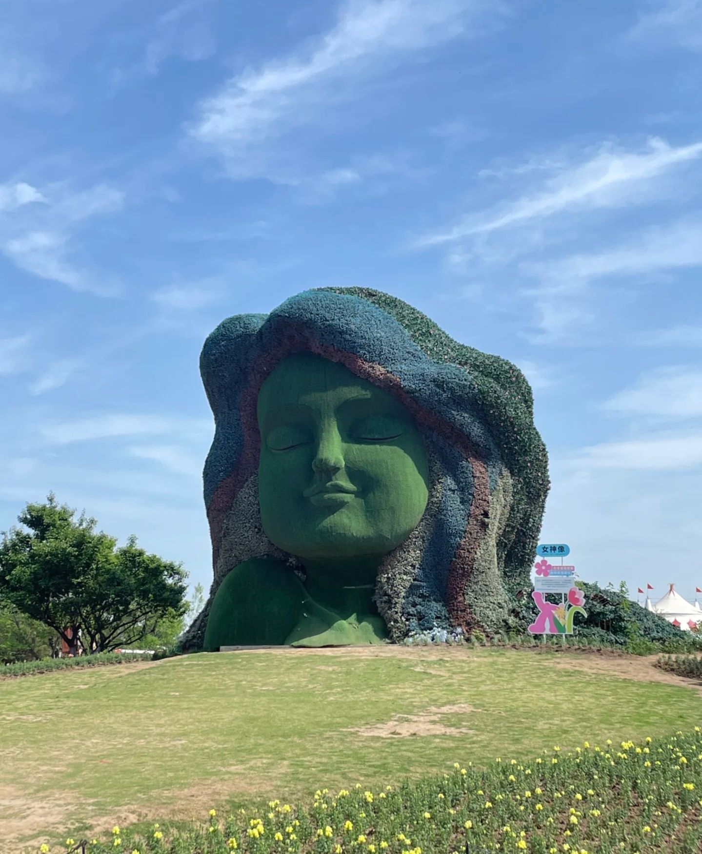 祥源花世界旅行图片 2