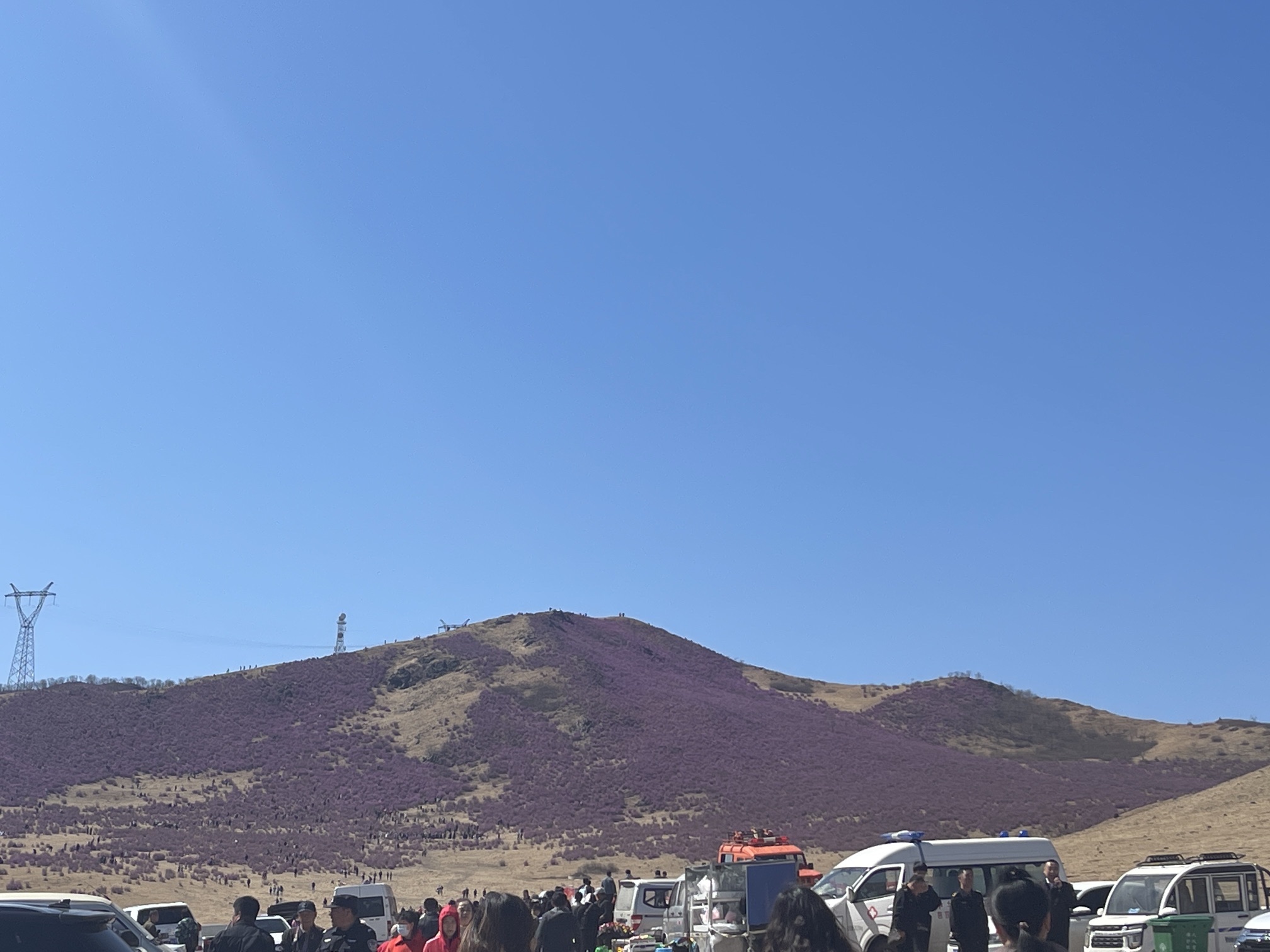 中和大架子山杜鹃坡旅行图片 2