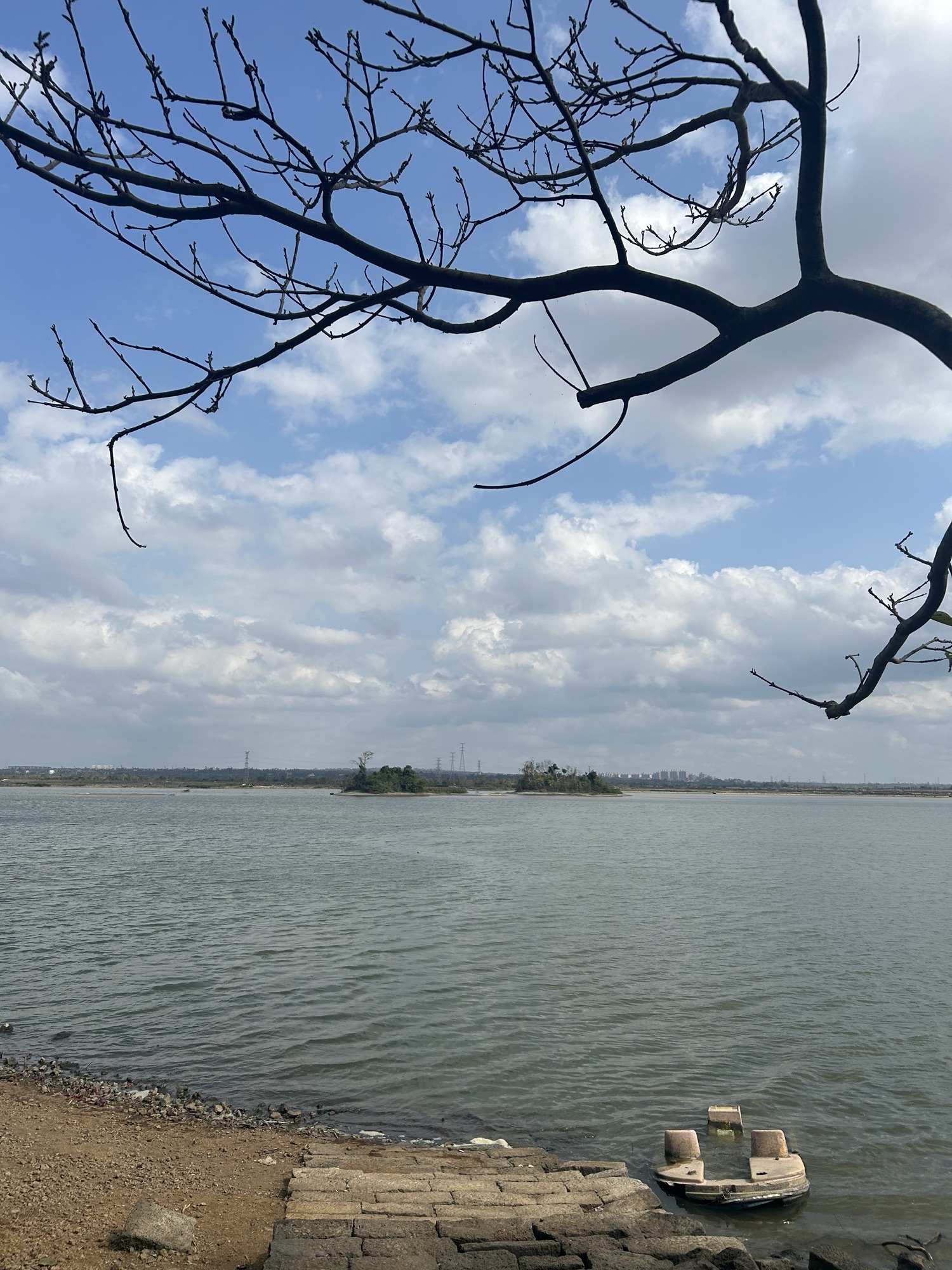 蛇桥风景区旅行图片 1