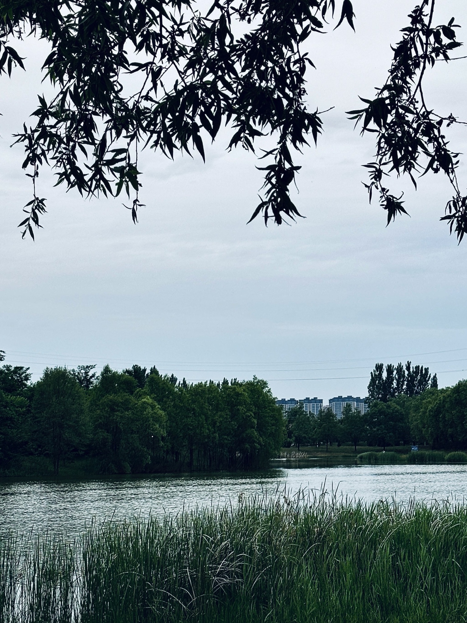 南湖公园旅行图片 1