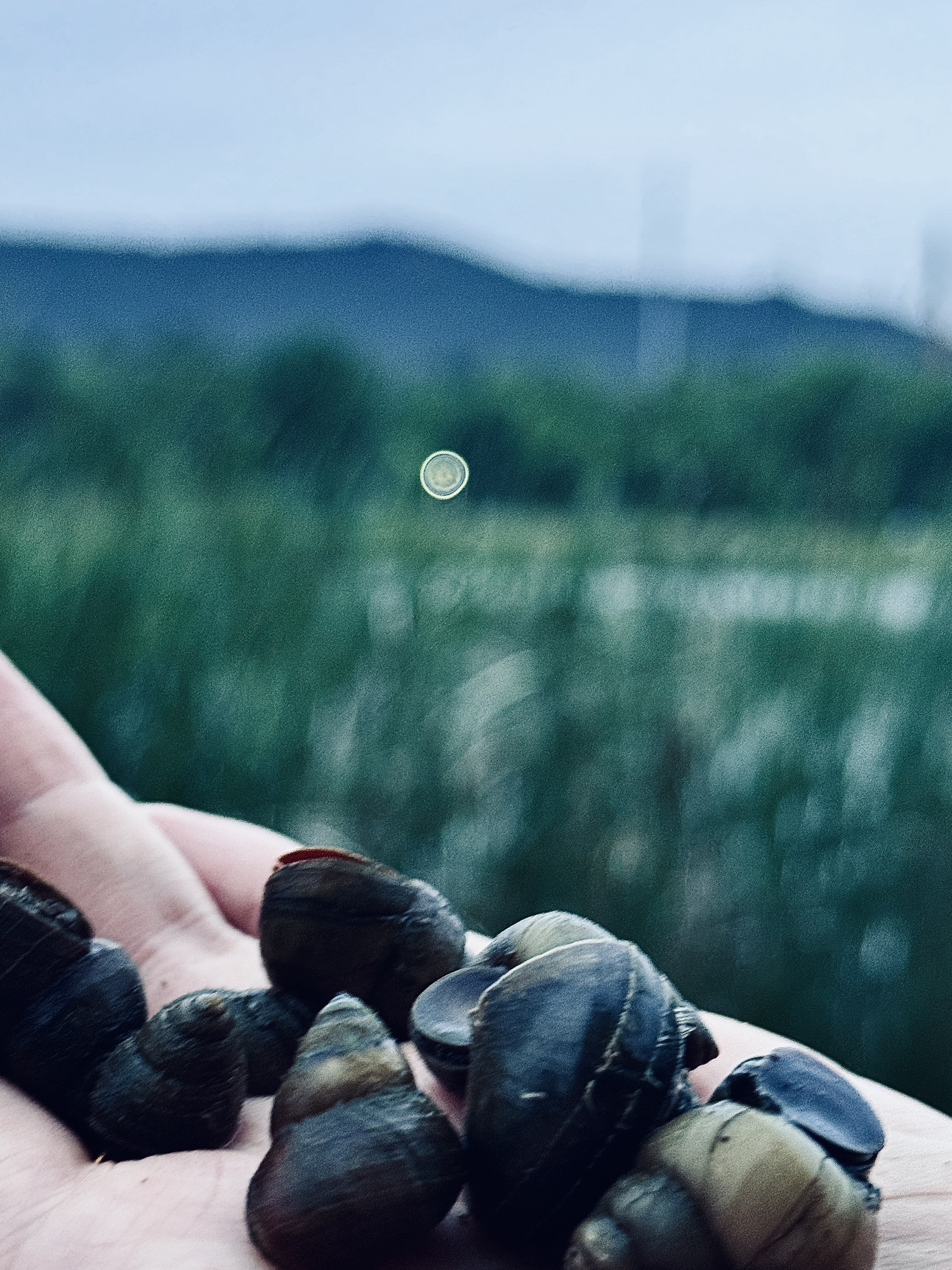 南湖公园旅行图片 3