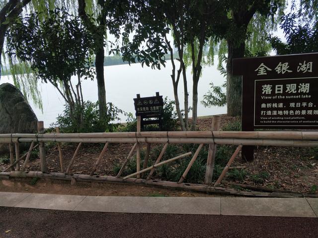 金银湖国家城市湿地公园-鸟岛旅行图片 3