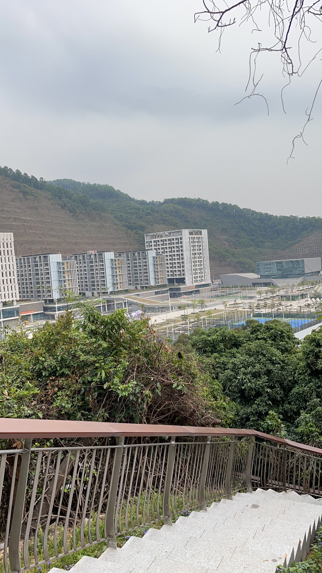 深云文体公园旅行图片 2