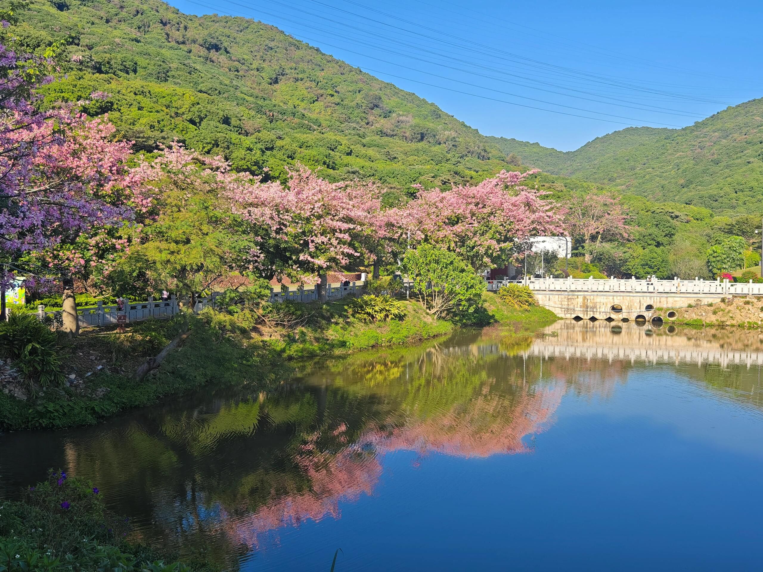 深云文体公园旅行图片 1