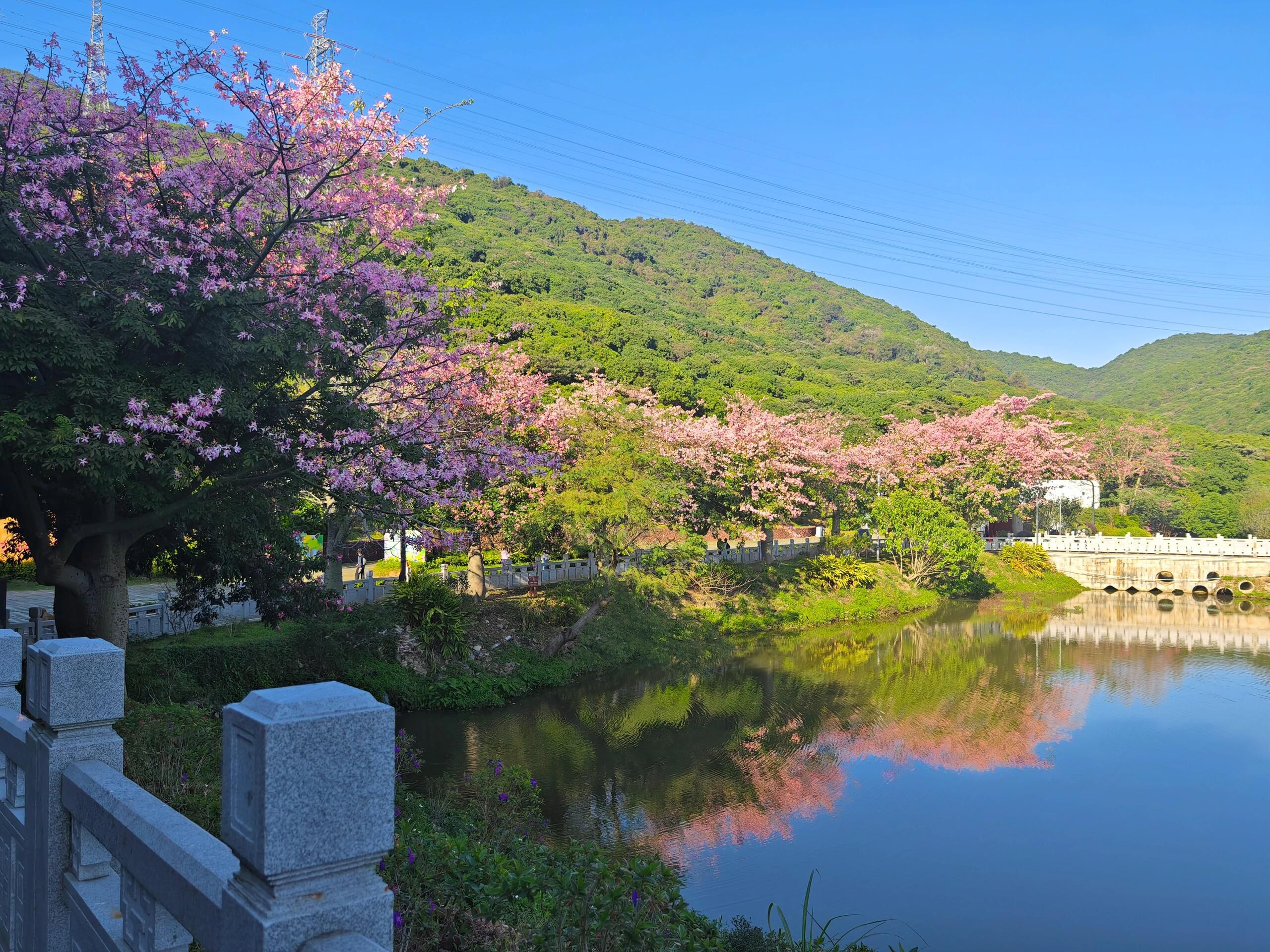 深云文体公园旅行图片 2
