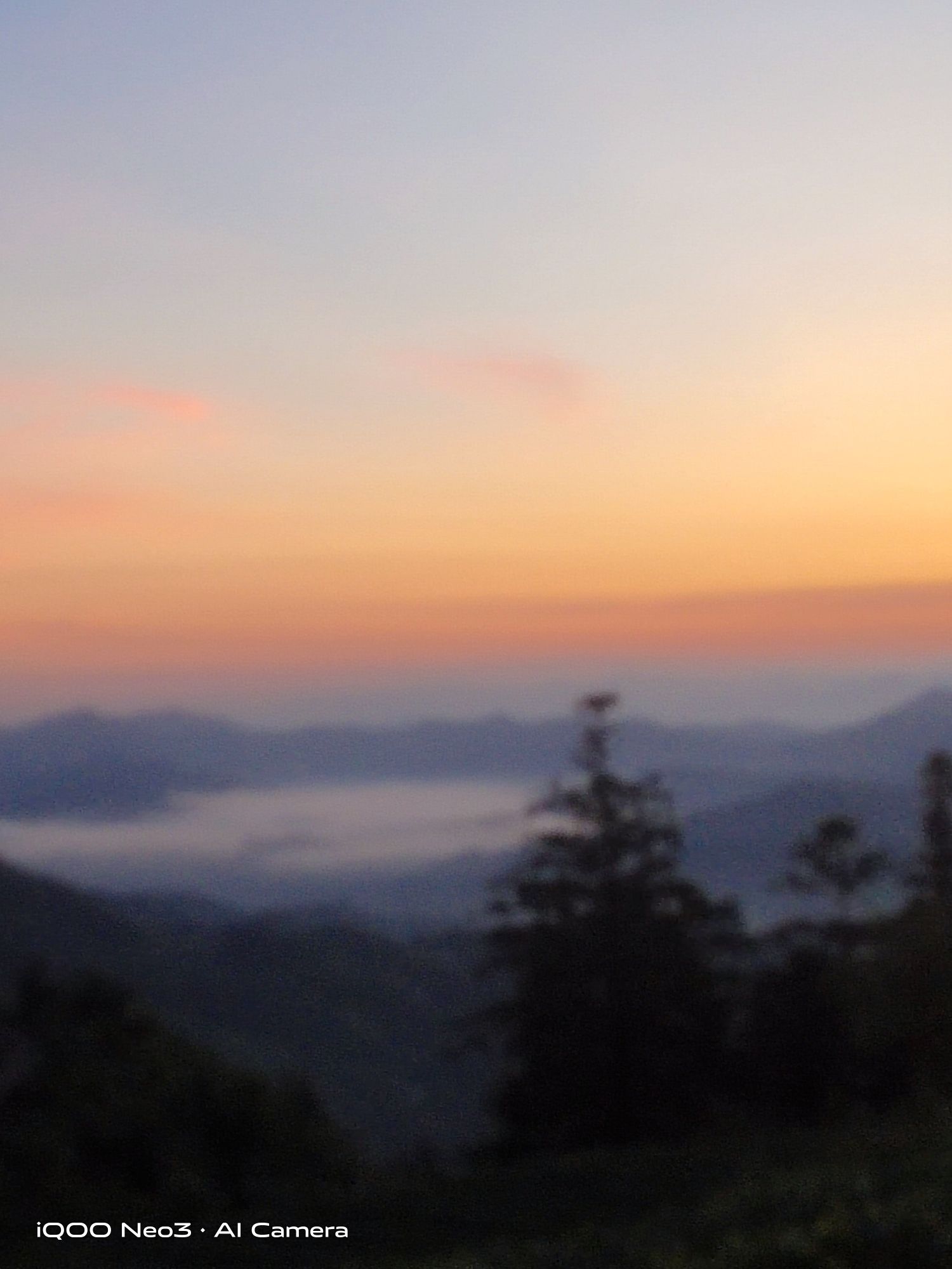 布央茶山旅游区旅行图片 1