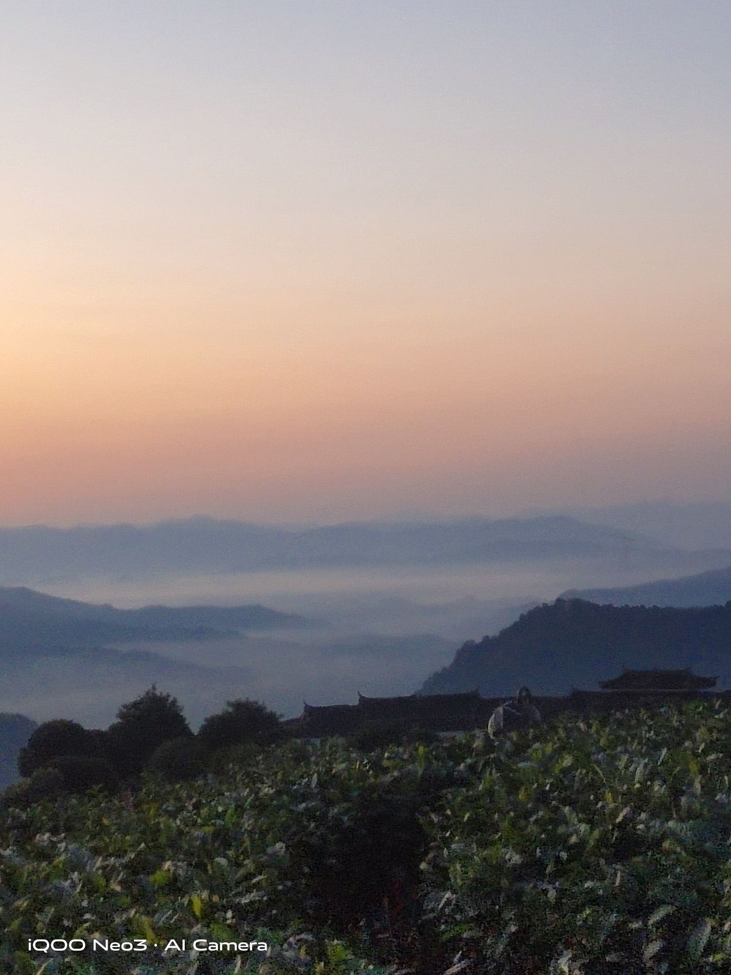 布央茶山旅游区旅行图片 2