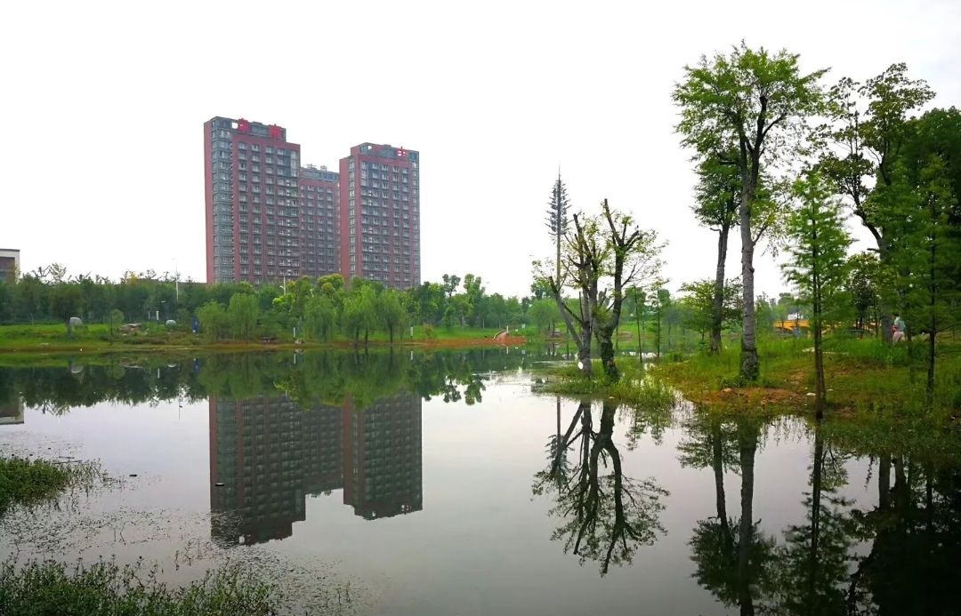 陶子河公园旅行图片 1