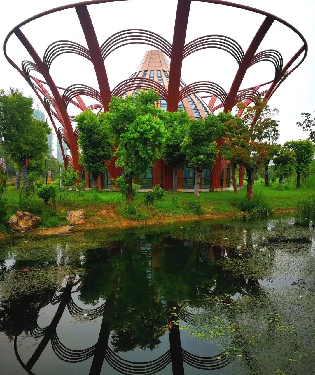 陶子河公园旅行图片 2