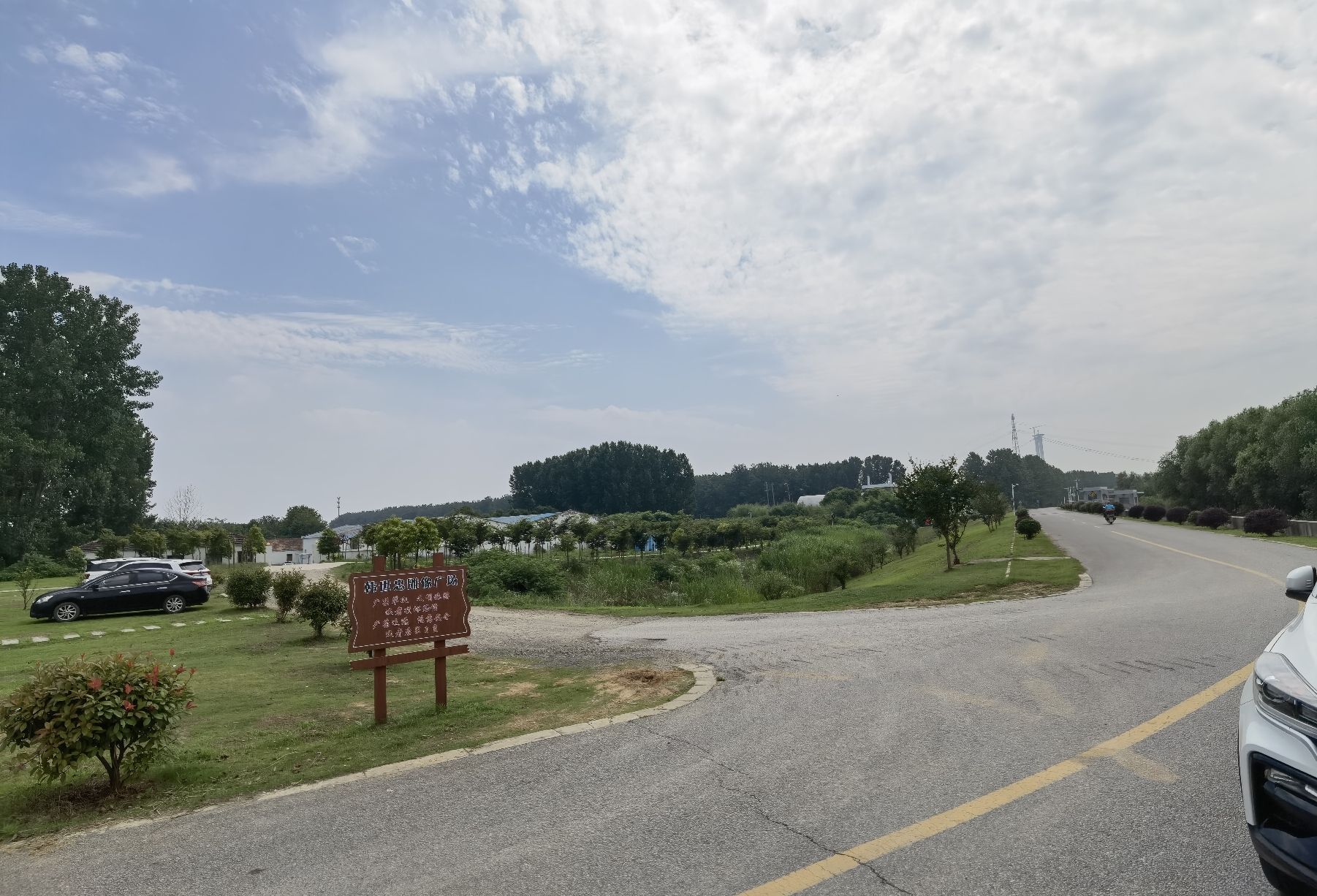 黄天荡湿地公园旅行图片 2