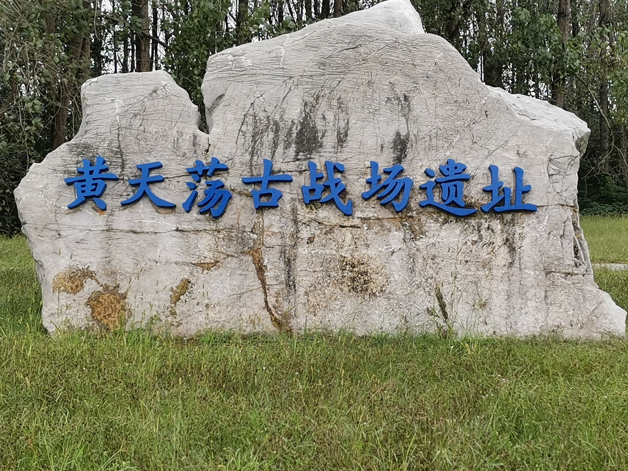 黄天荡湿地公园旅行图片 1