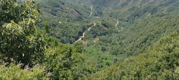 蝎子沟国家森林公园旅行图片 1