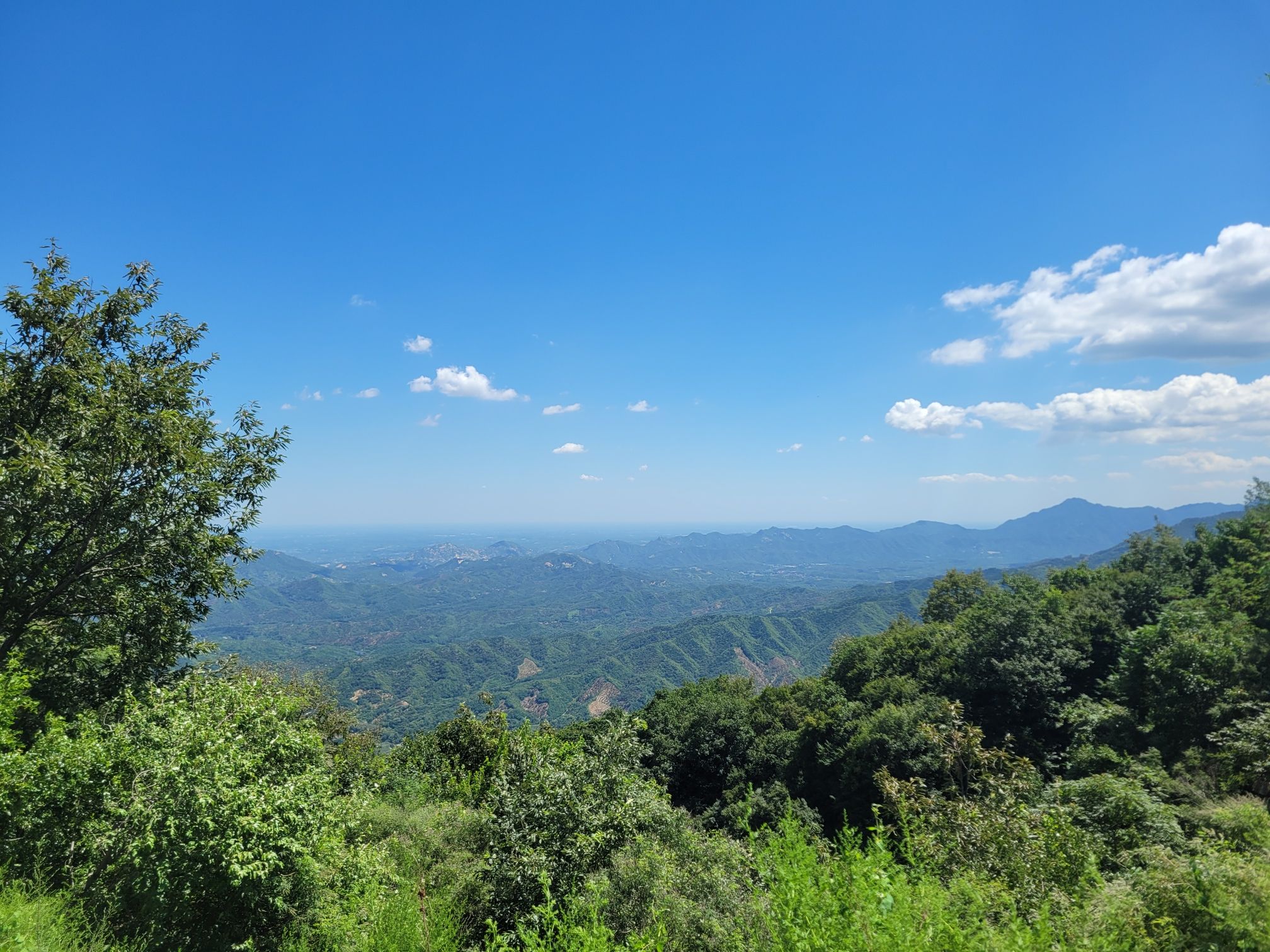 蝎子沟国家森林公园旅行图片 3