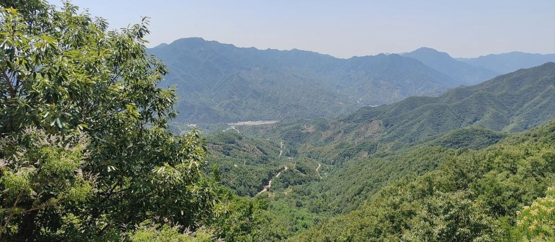 蝎子沟国家森林公园旅行图片 2