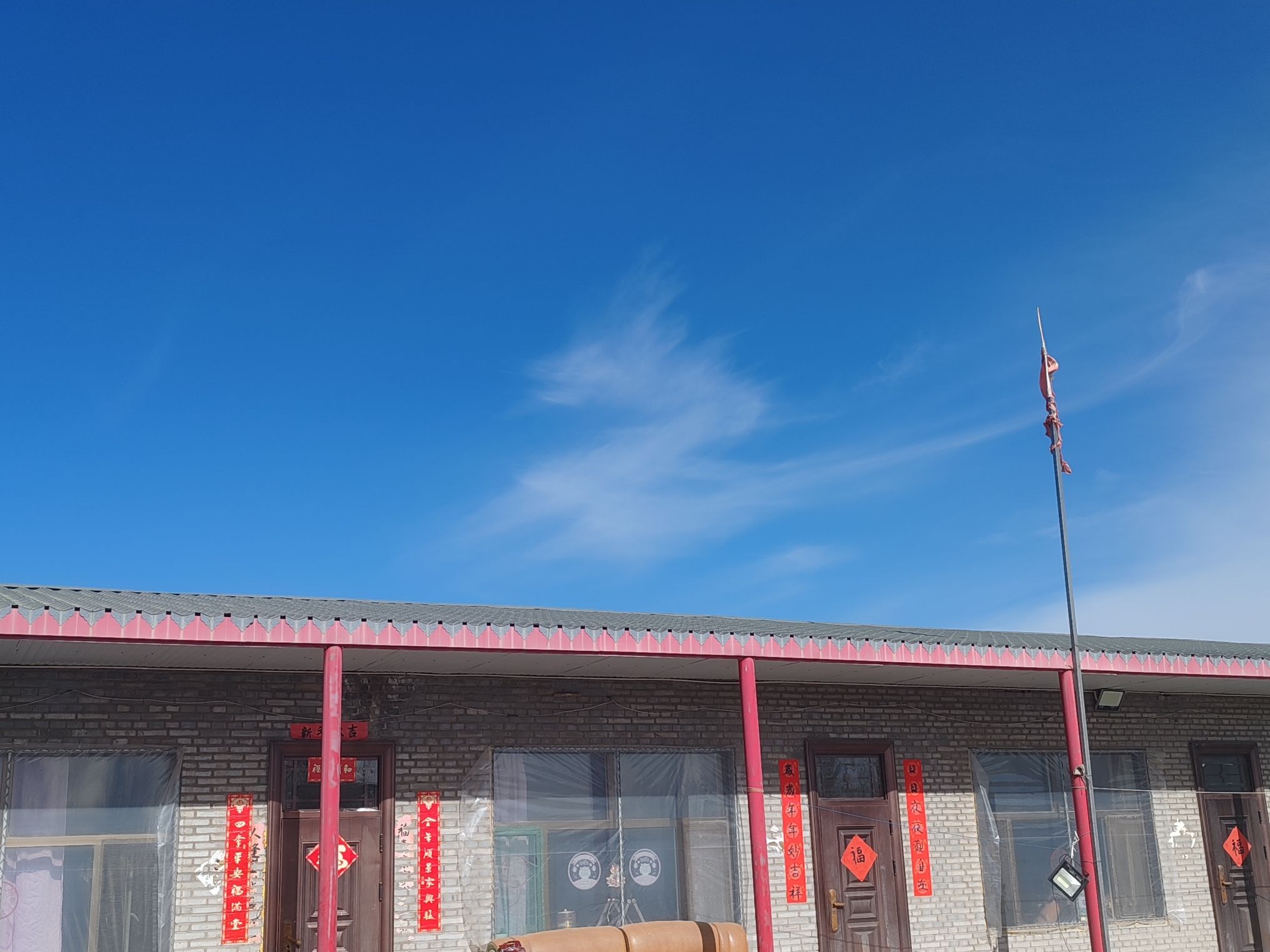 青达门古榆树旅行图片 3
