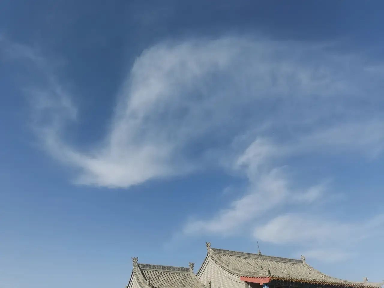 青达门古榆树旅行图片 1