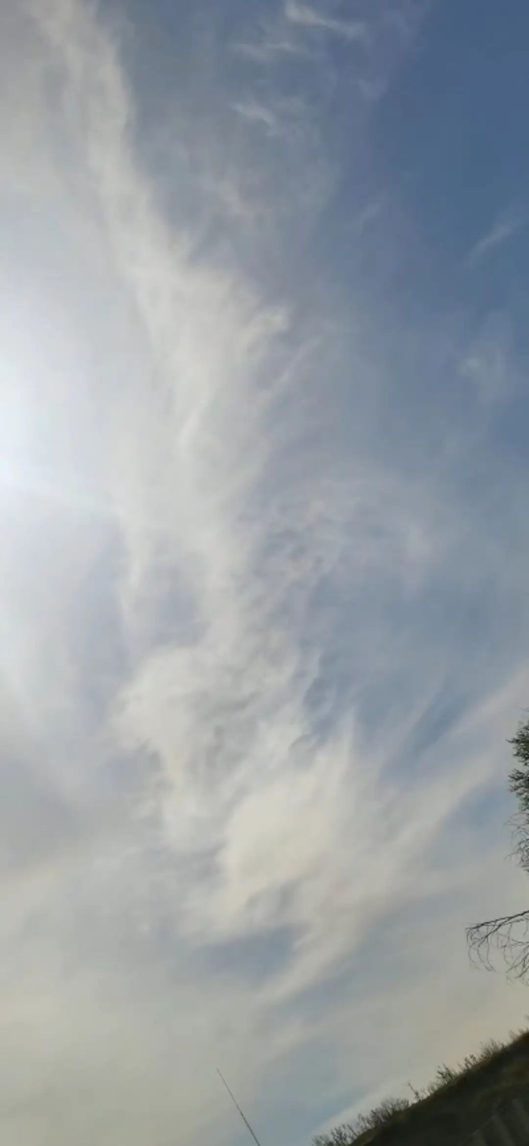 青达门古榆树旅行图片 2
