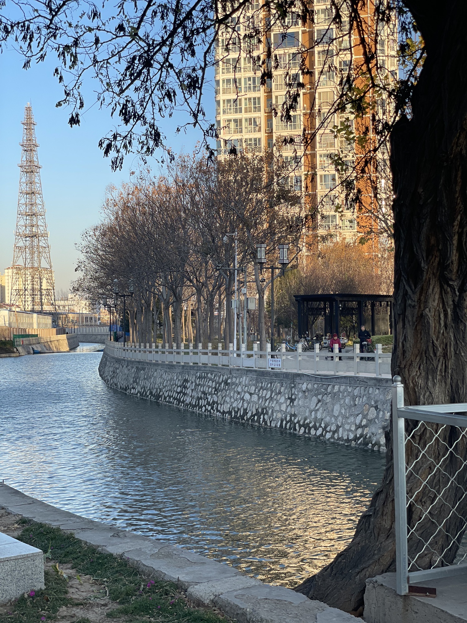 五一桥公园旅行图片 3