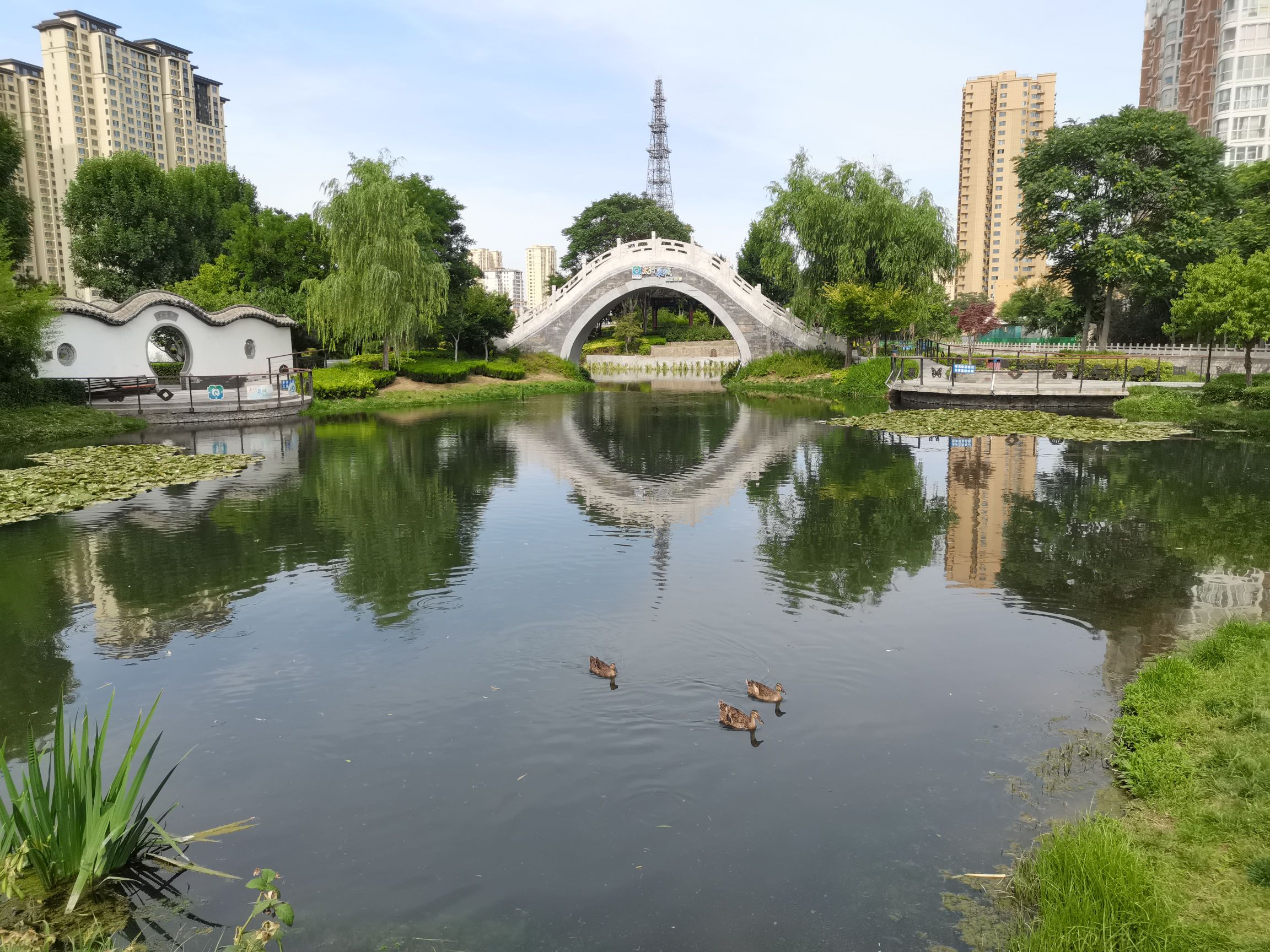 五一桥公园旅行图片 2