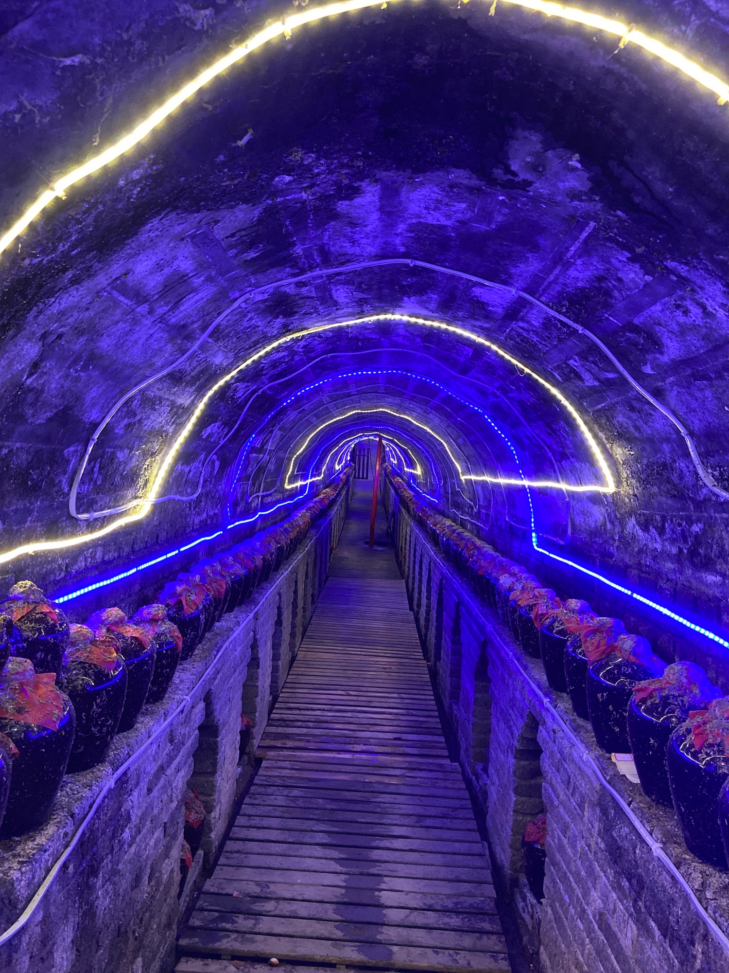 十里飘香酒博览园旅行图片 1