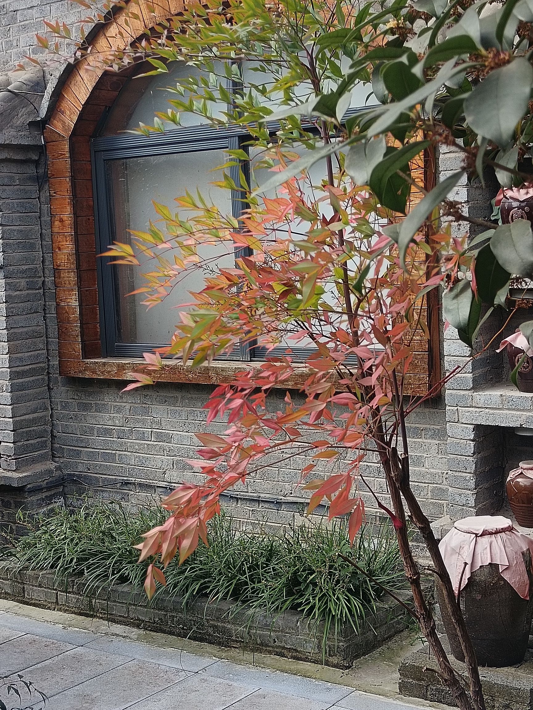 十里飘香酒博览园旅行图片 2