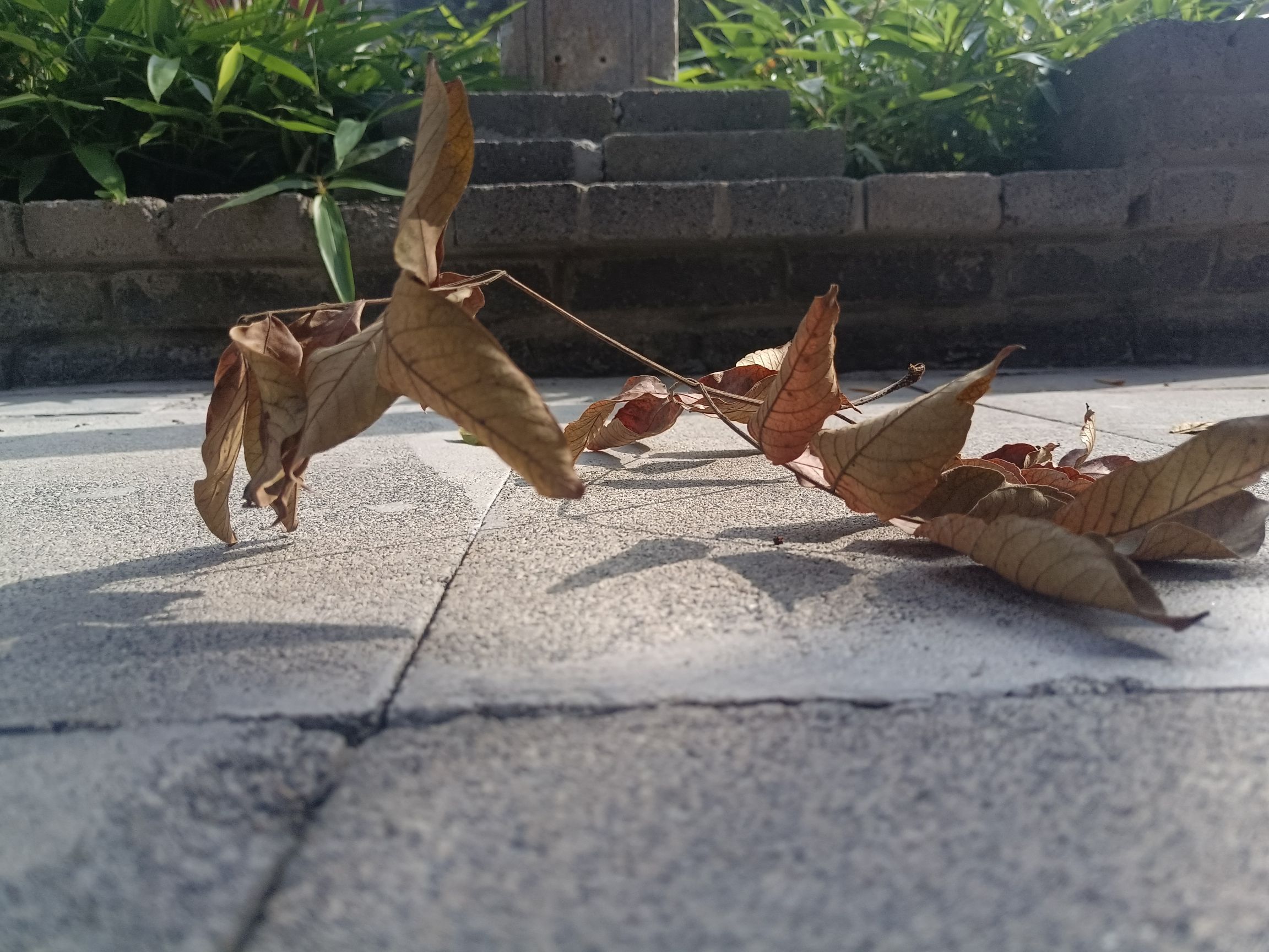 十里飘香酒博览园旅行图片 3