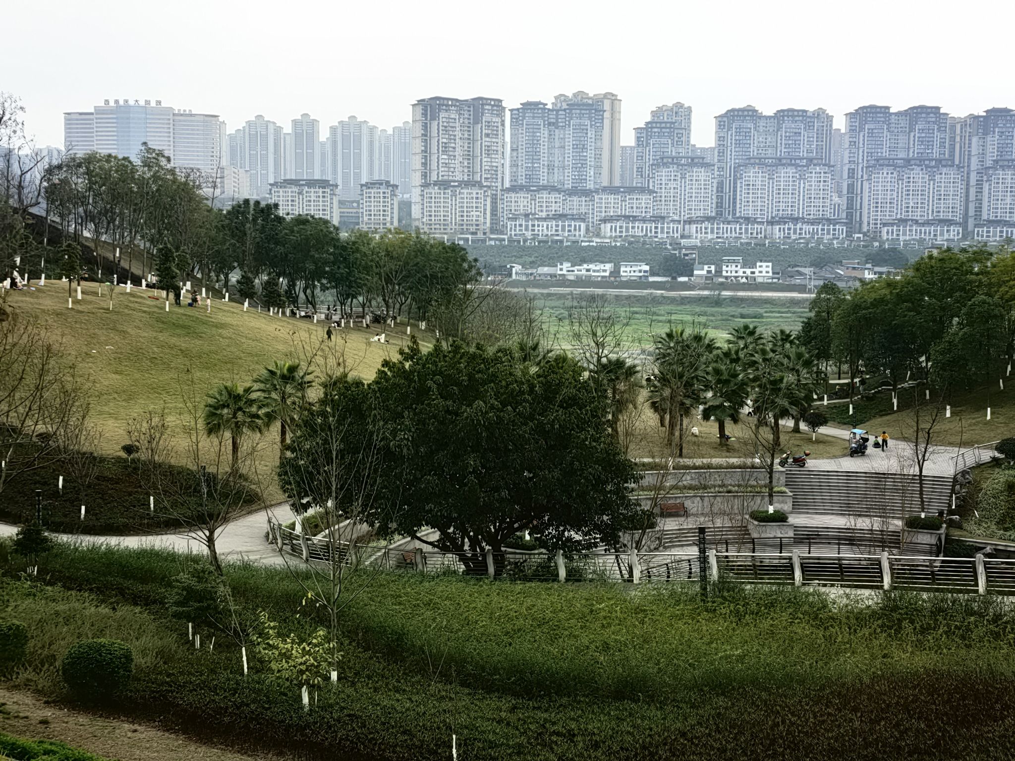 泸州沱江北滨公园旅行图片 2