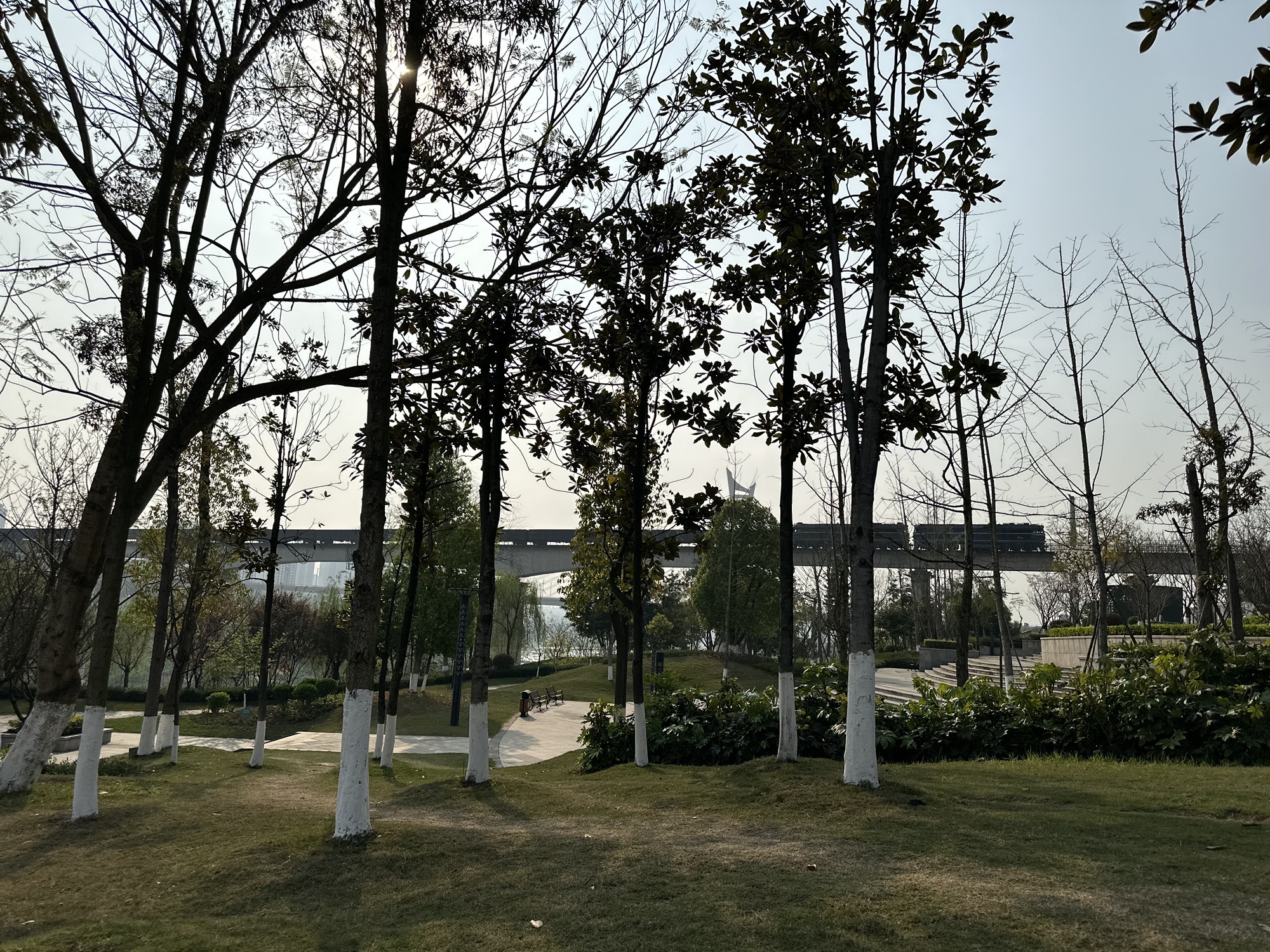 泸州沱江北滨公园旅行图片 2