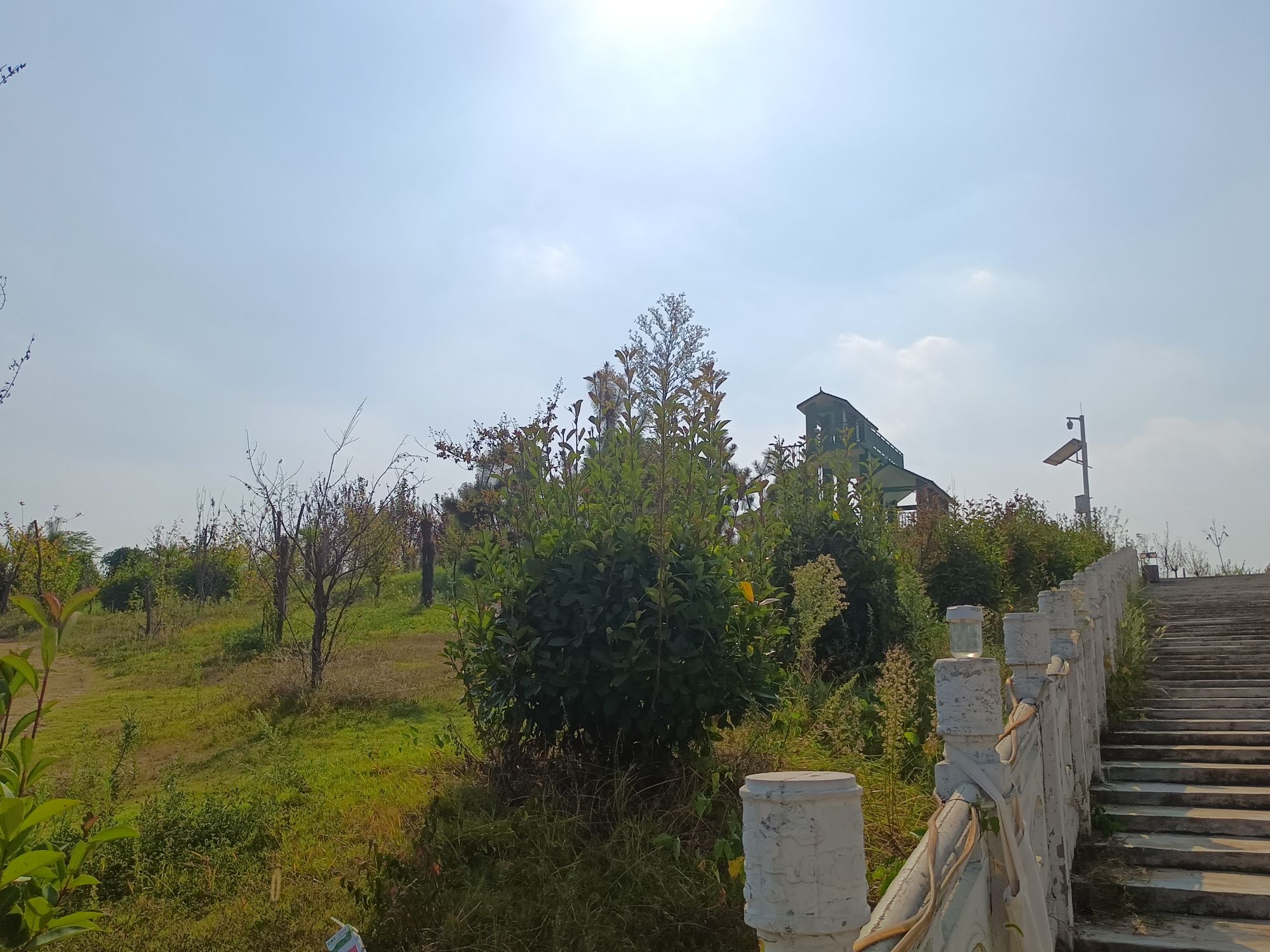 淮河湿地公园旅行图片 3