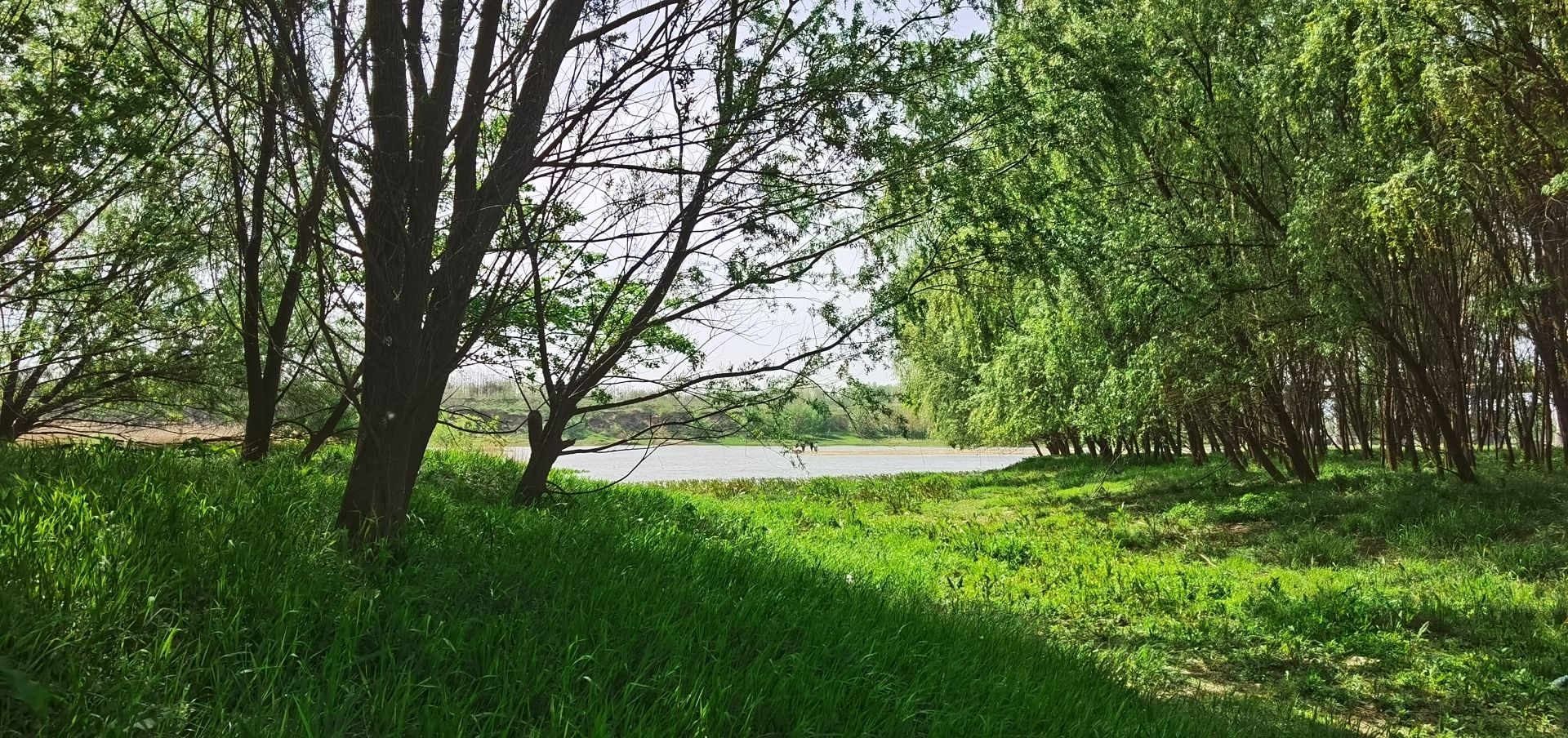 淮河湿地公园旅行图片 2