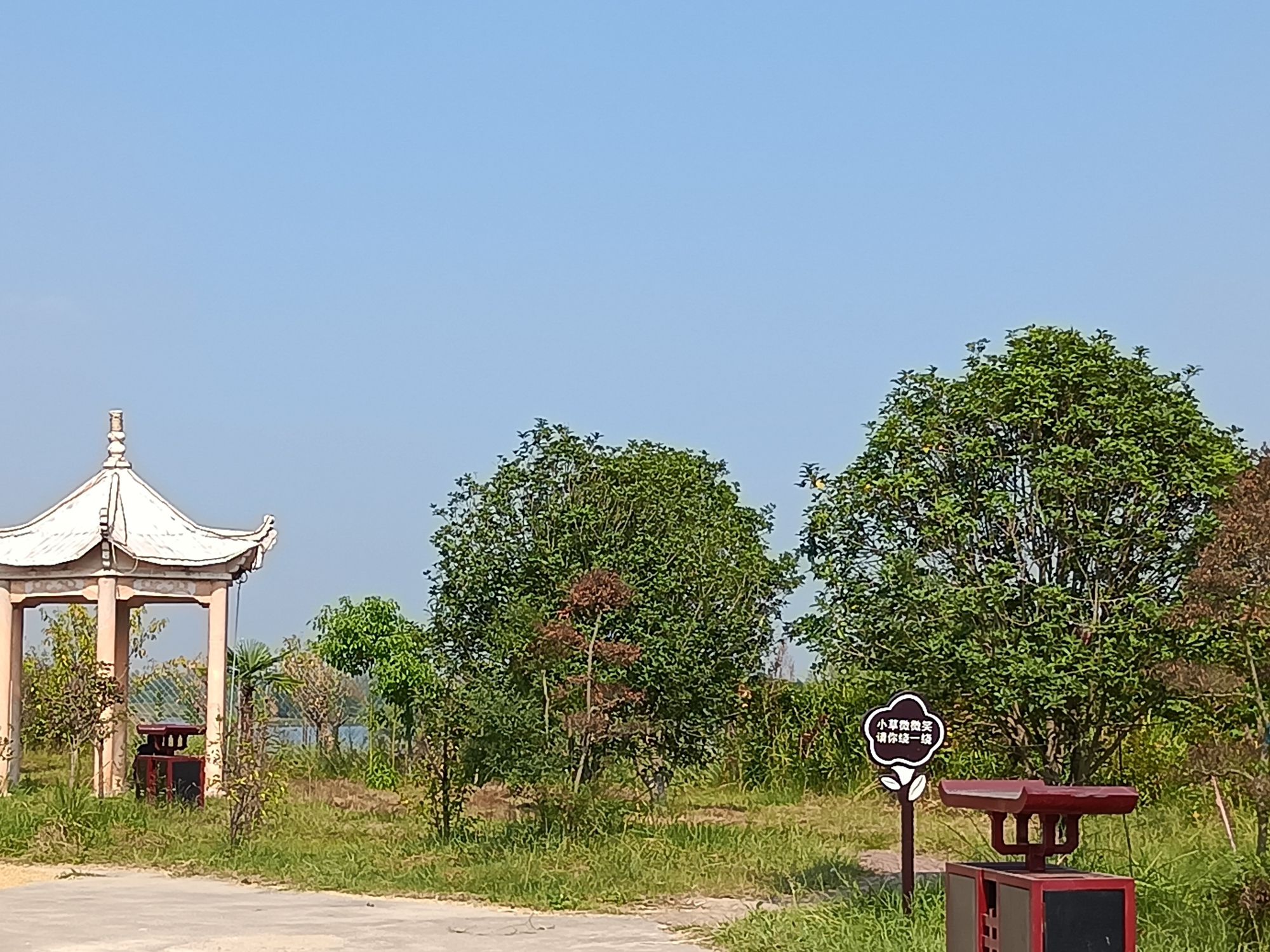淮河湿地公园旅行图片 1
