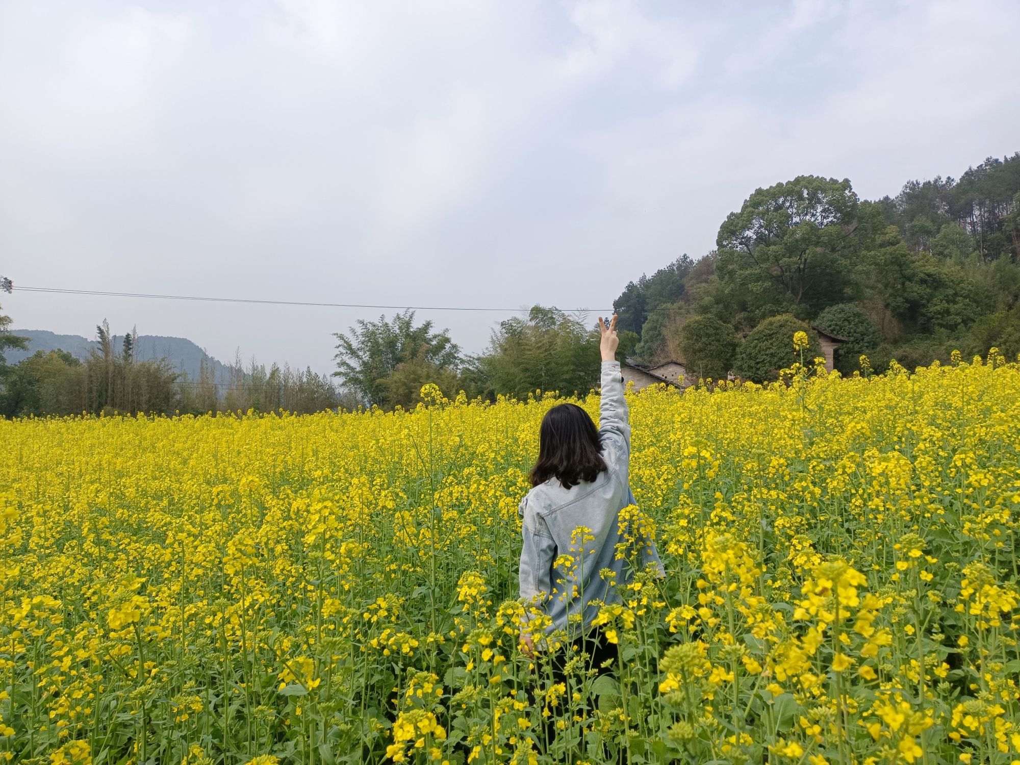 溪上花沺秀美乡村旅行图片 1