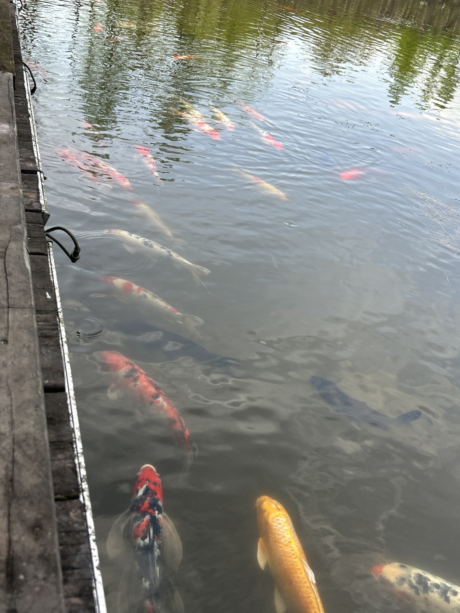南溪之玉生态公园旅行图片 2