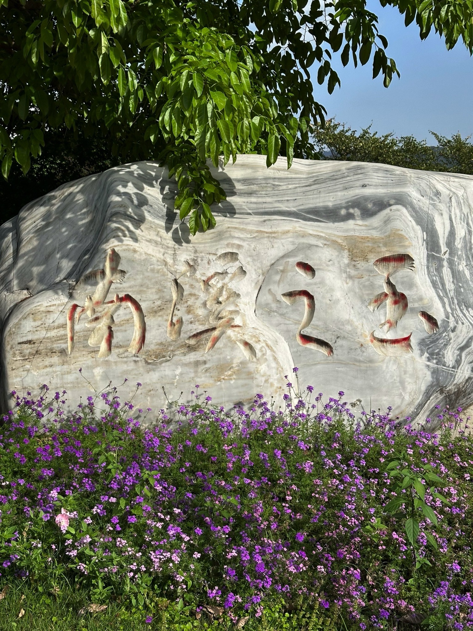 南溪之玉生态公园旅行图片 1