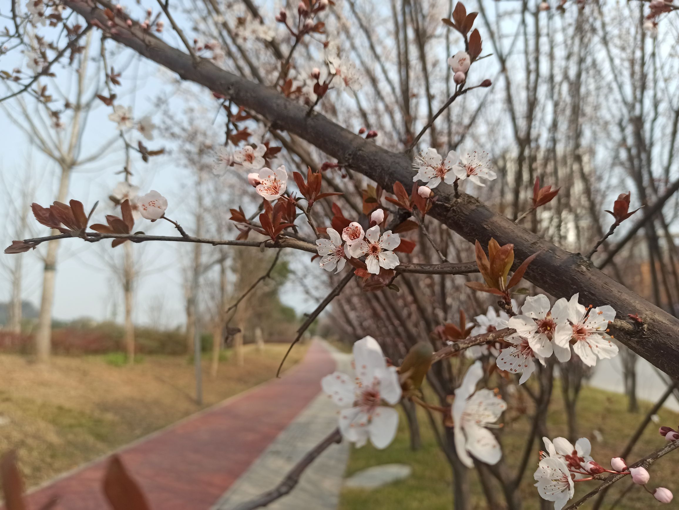 南溪之玉生态公园旅行图片 2